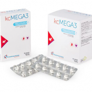 KCMEGA3 80 PERLE