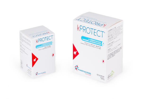 KPROTECT POLVERE 45 GR