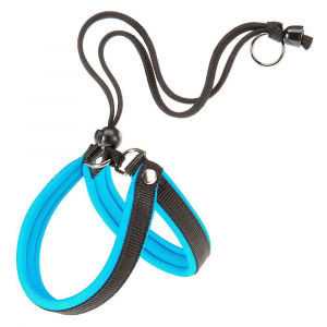 AGILA FLUO 2 PETTORINA BLU