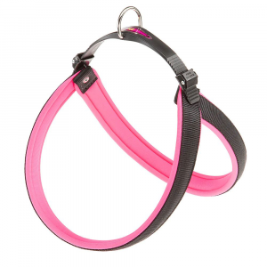 AGILA FLUO 6 PETTORINA FUCSIA