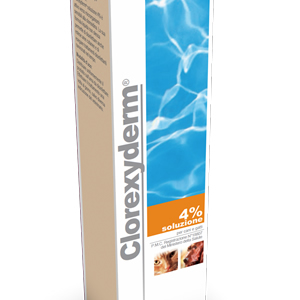 CLOREXYDERM SOLUZIONE 4% 100 ML