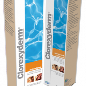 CLOREXYDERM SOLUZIONE SCHIUMA 200 ML