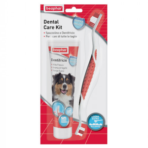 BEAPHAR DENTAL CARE KIT 100 GR
