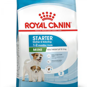 ROYAL DOG STARTER MINI MOTHER & BABYDOG 1 KG