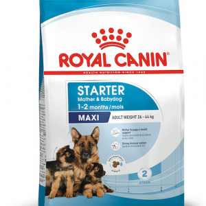 ROYAL DOG STARTER MOTHER & BABYDOG MAXI 4 KG