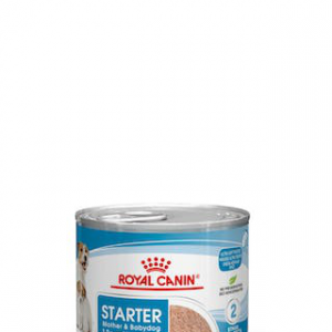 ROYAL DOG STARTER MOUSSE LATTINA 195 GR