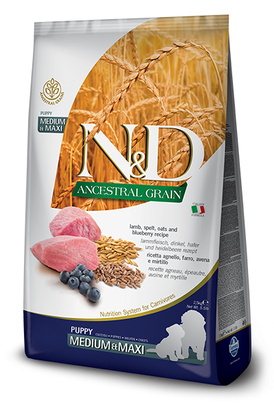 ND DOG LOW AGNELLO E MIRTILLO PUPPY MEDIO MAXI 12 KG