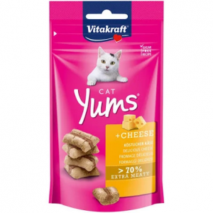 VK CAT YUMS FORMAGGIO 40 GR