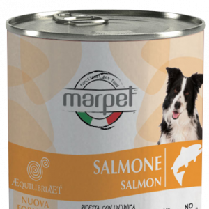 AEQUILIBRIA VET DOG SALMONE 400 GR