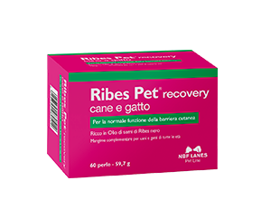 RIBES PET 60 PERLE RECOVERY