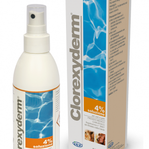 CLOREXYDERM SOLUZIONE 4% 200 ML