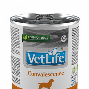 VET LIFE DOG CONVALESCENCE 300 GR