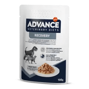 ADVANCE DOG & CAT RECOVERY 100 GR