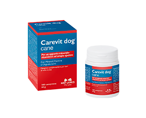 CAREVIT DOG 100 CPR