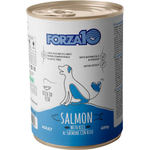 FORZA 10 CANE MANTENIMENTO SALMONE E RISO LATTINA 400 GR