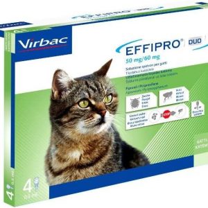 EFFIPRO DUO GATTO 4 PIPETTE