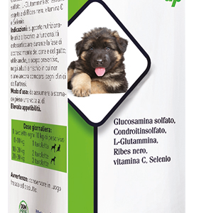 LEGART UP TAVOLETTE 1 GR 60CPR