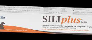 SILIPLUS PASTA 30 GR