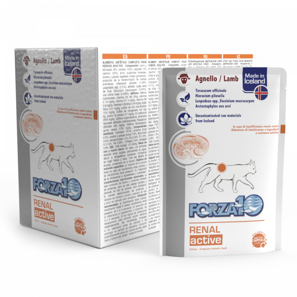 FORZA 10 GATTO RENAL ACTIWET BUSTINA 80 GR