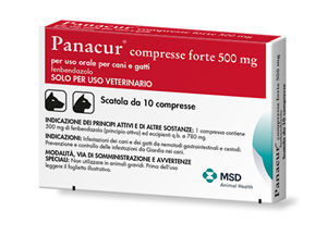 PANACUR 500 MG 10 CPR