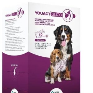 YOUACT ENTERO GLICO