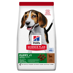 HILLS CANE PUPPY MEDIO AGNELLO 2,5 KG