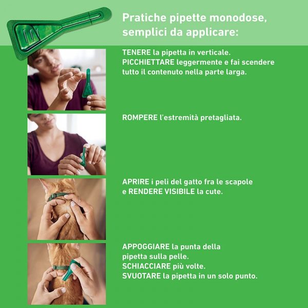 FRONTLINE COMBO GATTO 3 PIPETTE