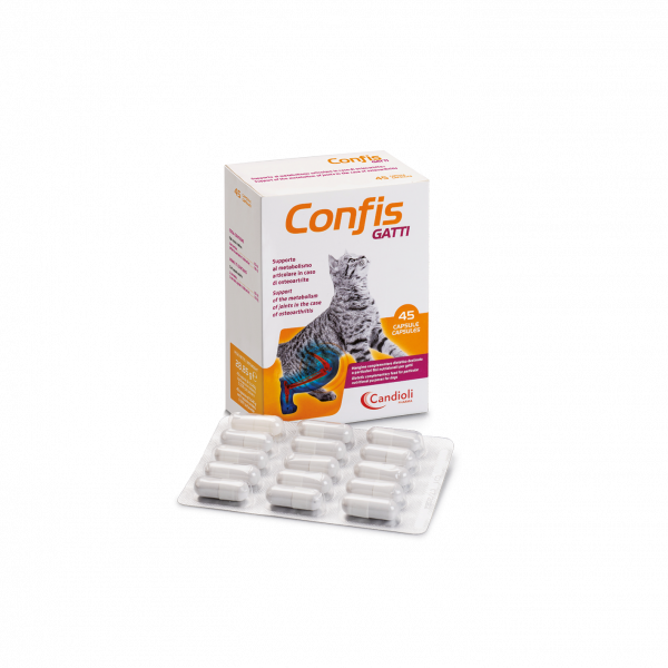 CONFIS GATTI 15 CPS