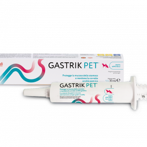 GASTRIK PET SIRINGA 30 ML