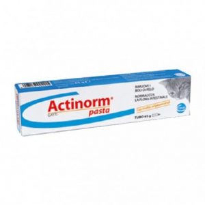 ACTINORM PASTA GATTI 65 GR