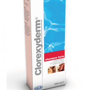 CLOREXYDERM SHAMPOO FORTE 200 ML
