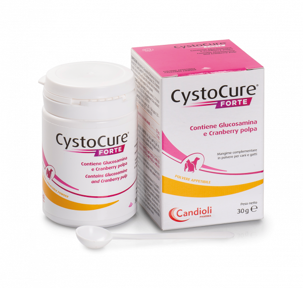 CYSTOCURE FORTE 30 GR