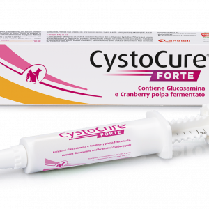 CYSTOCURE FORTE PASTA 15 ML