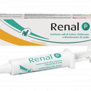 RENAL P PASTA 15 ML