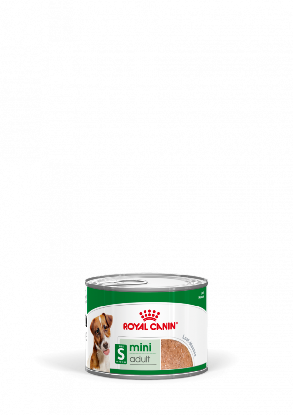 ROYAL DOG ADULT MINI 195 GR