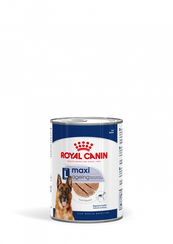ROYAL DOG MAXI AGEING LATTINA 410 GR
