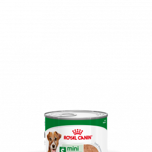 ROYAL DOG MINI AGEING 195 GR
