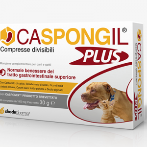 CASPONGIL PLUS 30 CPR