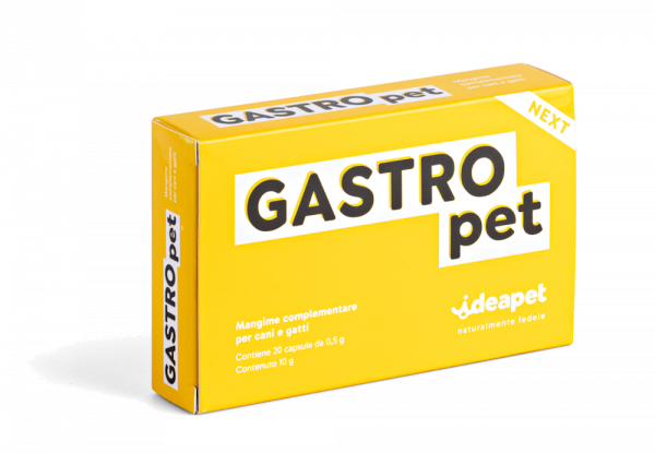 GASTRO PET 20 CAPSULE
