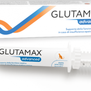 GLUTAMAX ADVANCED SIRINGA DA 30 ML