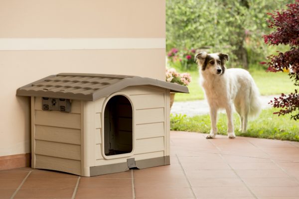 CUCCIA BUNGALOW MEDIUM BEIGE