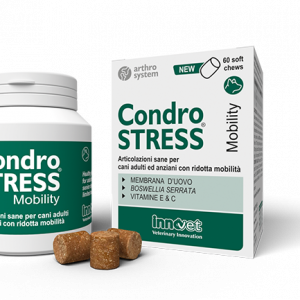 CONDROSTRESS MOBILITY 60 CHEWS