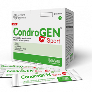 CONDROGEN SPORT 60 STICK