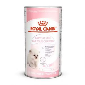 ROYAL CAT BABYCAT MILK 300 GR CON TETTARELLA