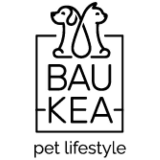 logo 512